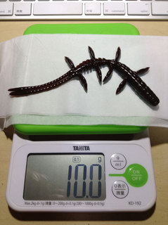 20140323-001.jpg