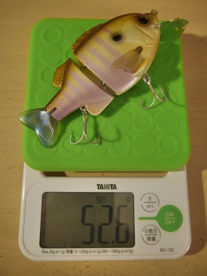P1000811.jpg